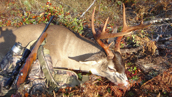 Rob Endsley's 2010 Washington Blacktail